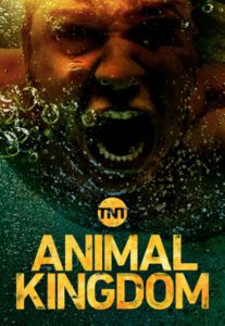 Animal Kingdom (TV Series)