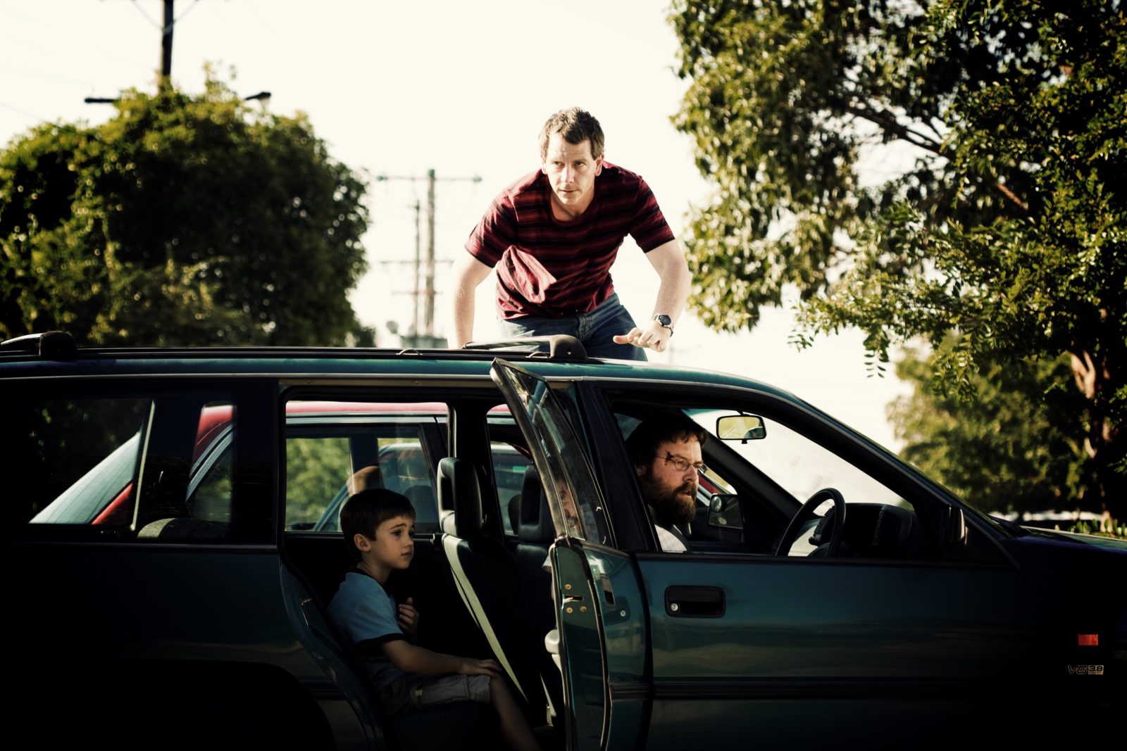 Animal Kingdom slide 11