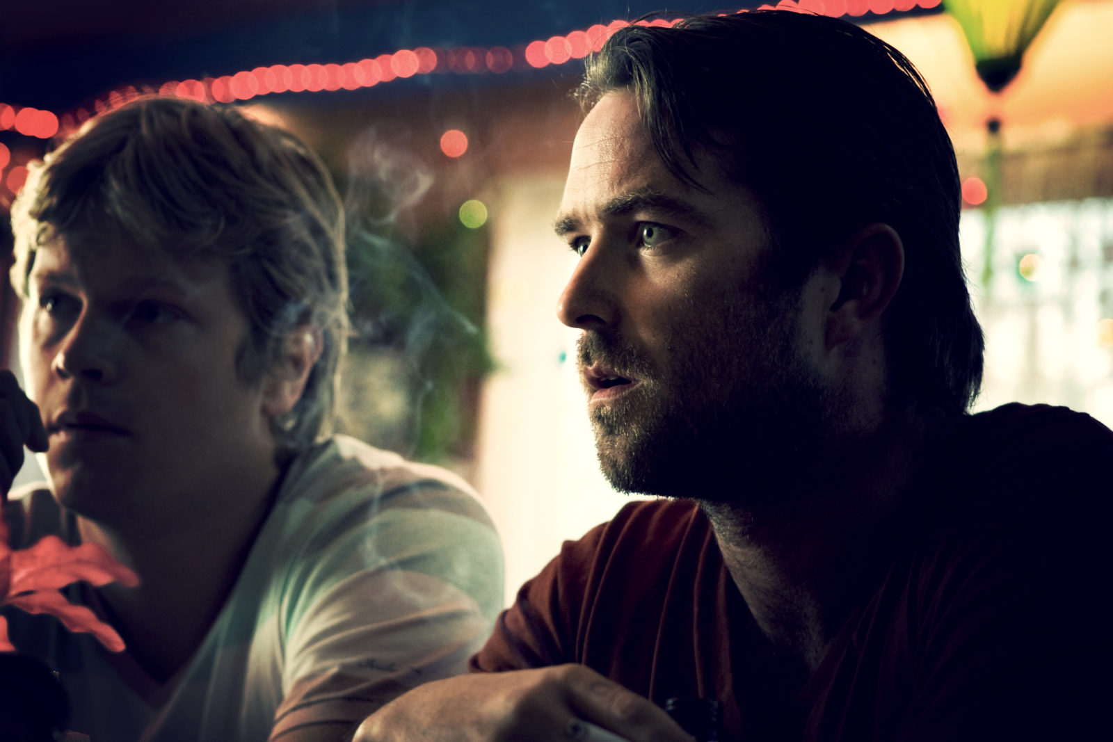 Animal Kingdom slide 17