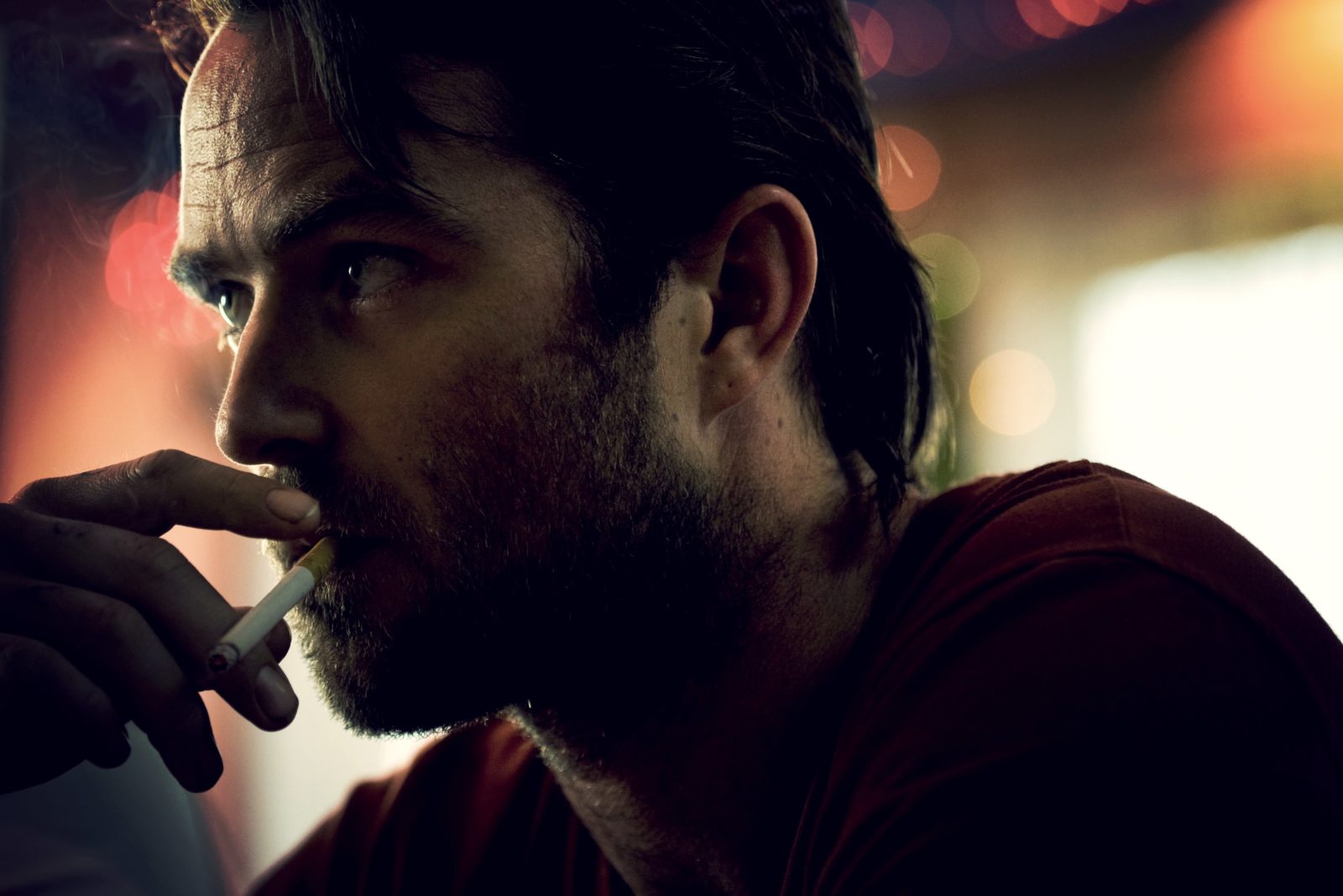 Animal Kingdom slide 15